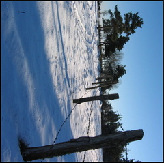 dana-hilliot--another-pics-20 78190263 o