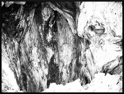 dana-hilliot--another-pic-157 87048495 o