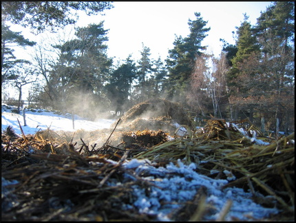 dana-hilliot--another-pics-18 78188253 o