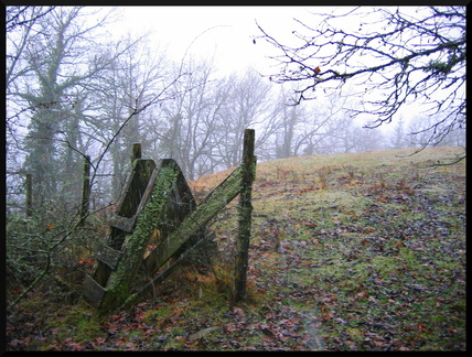 dana-hilliot--another-pics-13 78188248 o