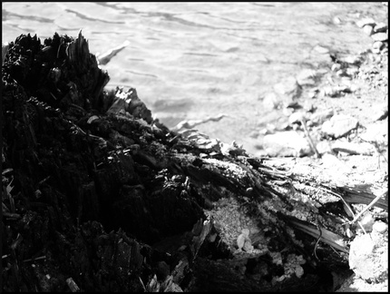 dana-hilliot--another-pics-10 78186265 o