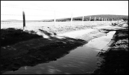 dana-hilliot--another-pics-9 78186263 o