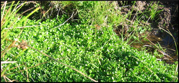 dana-hilliot--another-pics-8 78186262 o