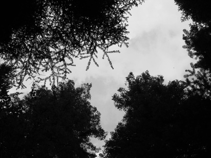 dana-hilliot--another-pics-3 78182610 o