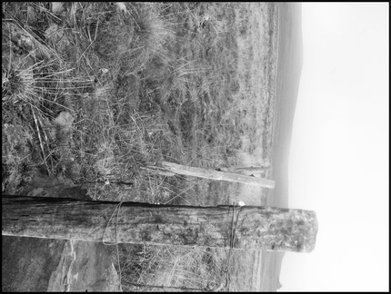 dana-hilliot--another-pics-1 78182607 o