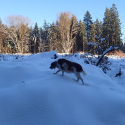 Col de Toutée (12 décembre 2024)