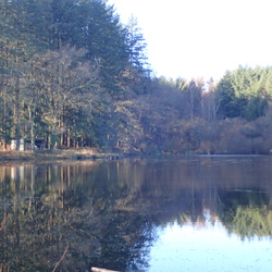 Vacances Noel 2024 (Limousin, Poitou, Indre)