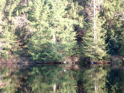 P2140021