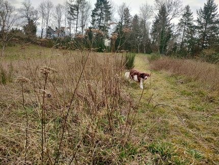 IMG 20250212 160715084 HDR