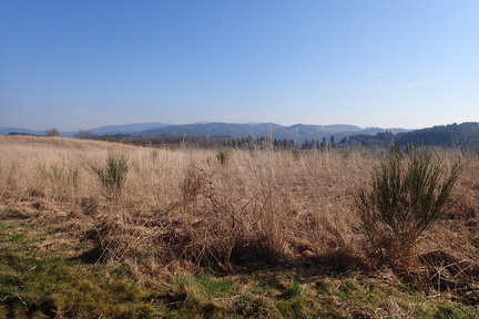 P3020035