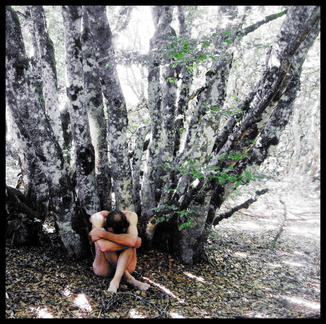 dana-hilliot---trees 3762657373 o