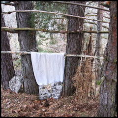 dana-hilliot---cabane-1 399041448 o
