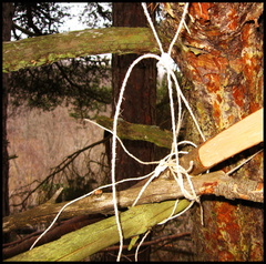 dana-hilliot---cabane-1 399042219 o