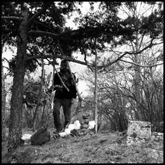 dana-hilliot---chose-sans-consquence 436539618 o