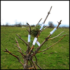 dana-hilliot---chose-sans-consquence 436549878 o