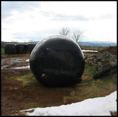 dana-hilliot---chose-sans-consquence 436564461 o