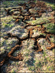 dana-hilliot---signs 449780112 o