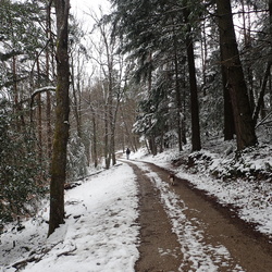 Mont Sauvy / Croix de Sera