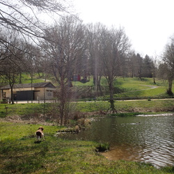 St-Rémy-sur-Durolle