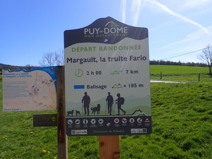 P4110005