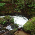 P5060024