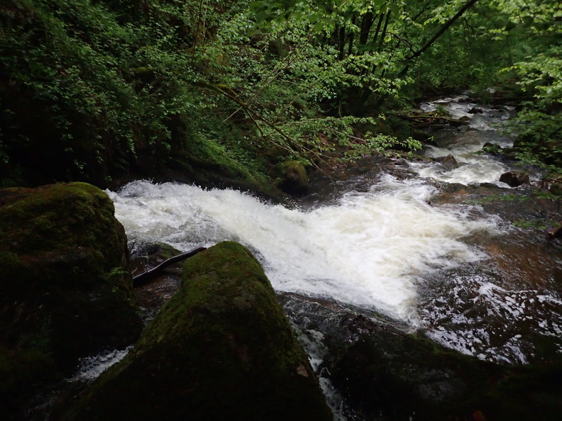 P5060020.JPG