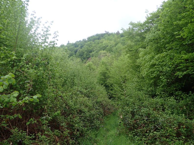 P5060016.JPG