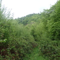 P5060016