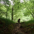P5060005