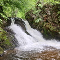 IMG 20250506 122710009 HDR