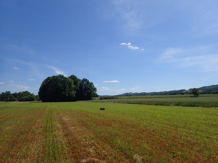 P5270048