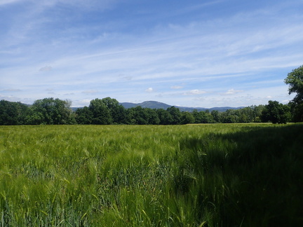 P5270017