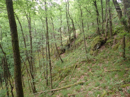 P5280023