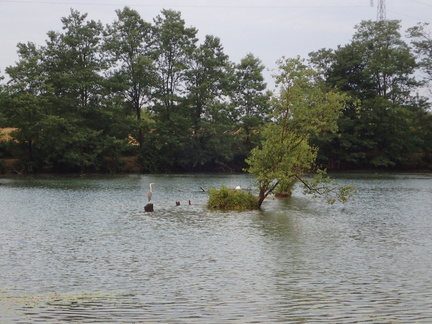 P6220004
