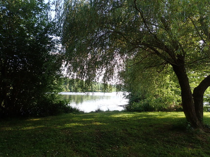 P6230005
