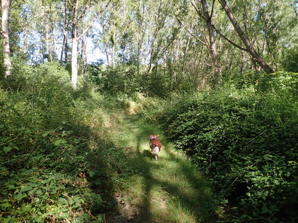 P7090031