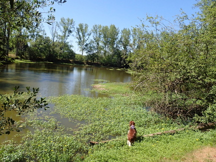 P7090030