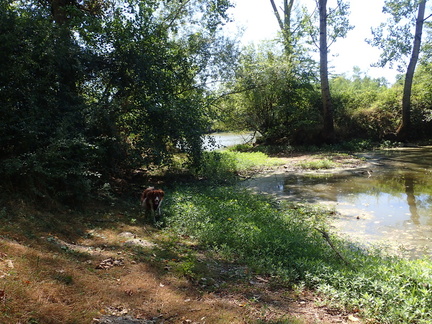 P7090027
