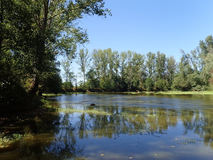P7090023