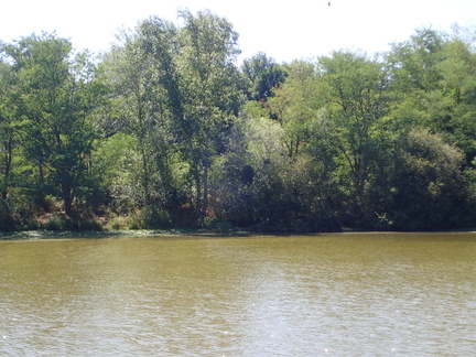P7090015