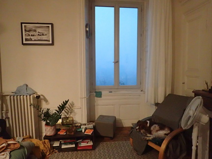 P7190010