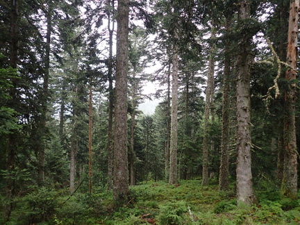 P7190062