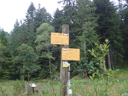 P7190053