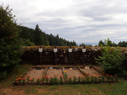 P7190022