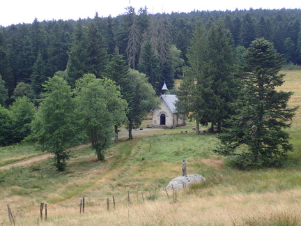 P7190008