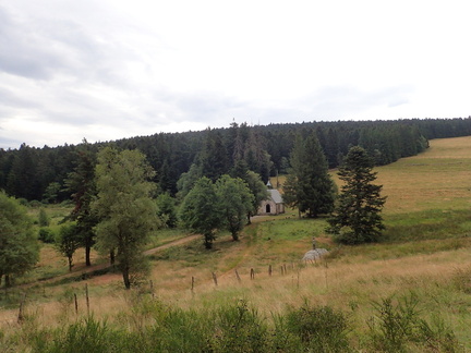 P7190006