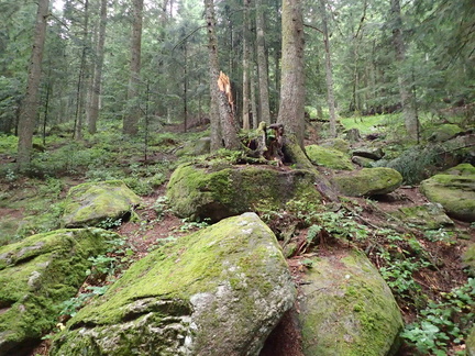P7190005