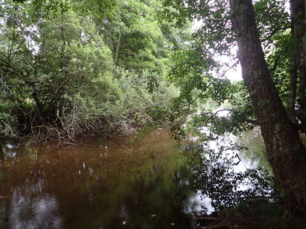 P7230011