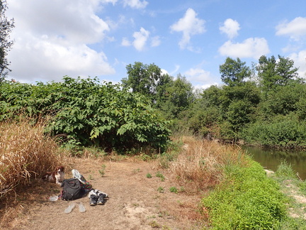 P7270023