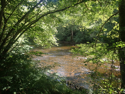P7310034